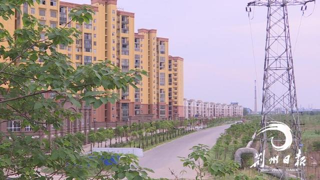 荆州沿江大道最新概况解析