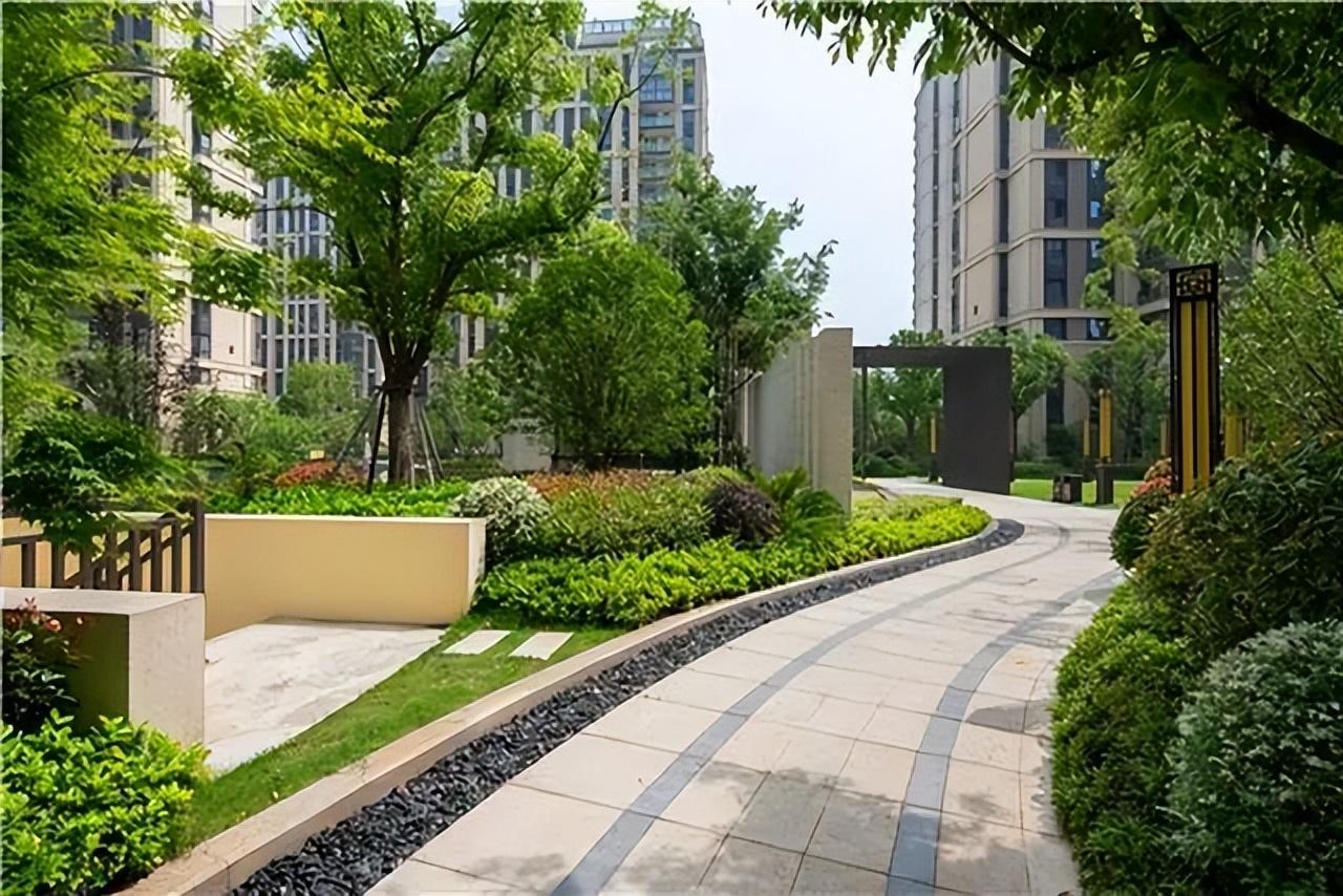 湛江房价最新动态，海滨城市蓬勃发展中的房价走势
