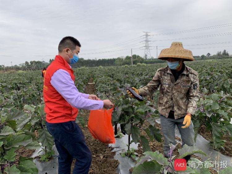 兴国最新租房信息,兴国最新租房信息，探索自然美景的旅行，寻找内心的平静