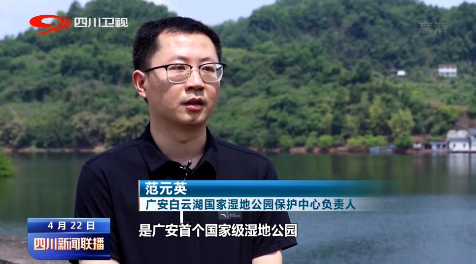 双城崛起新闻回顾与时代变迁报道