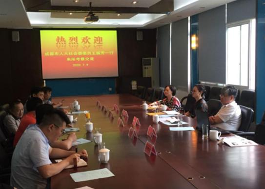 张良镇最新规划，塑造未来繁荣新篇章，展望发展蓝图