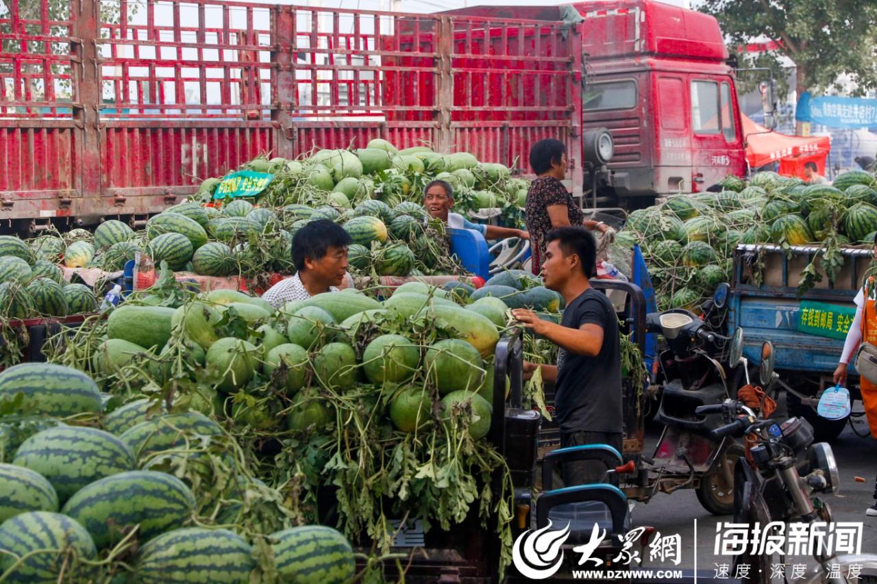 东明西瓜最新价格及尝鲜必备攻略！