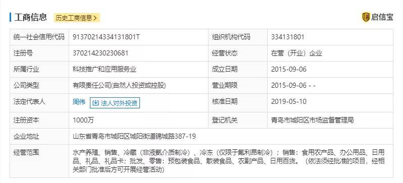 最新企业名录购买指南，小巷中的宝藏与特色小店奇妙之旅