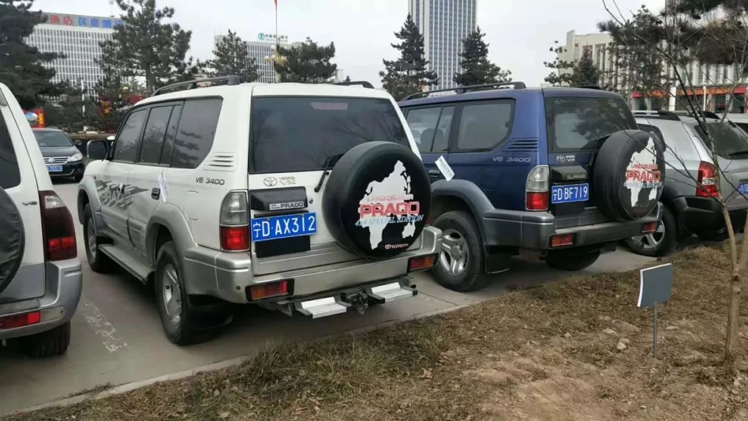湖州公车拍卖最新动态更新，公车拍卖消息速递