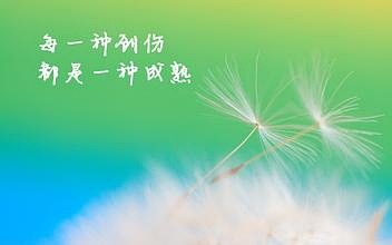 软件开发 第323页
