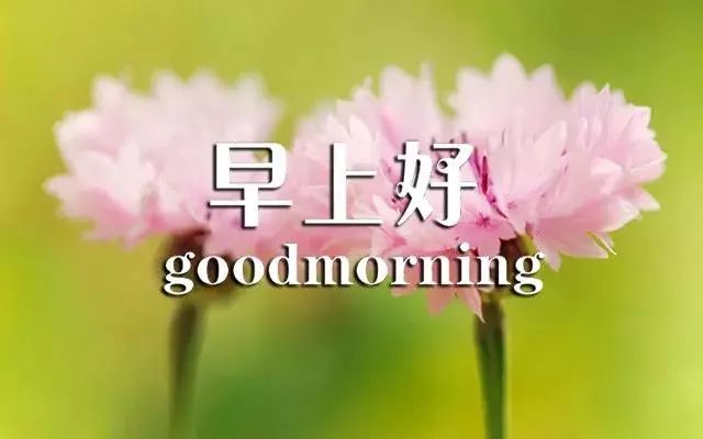 早安最新搞笑说说集锦，笑翻清晨，快乐一整天！