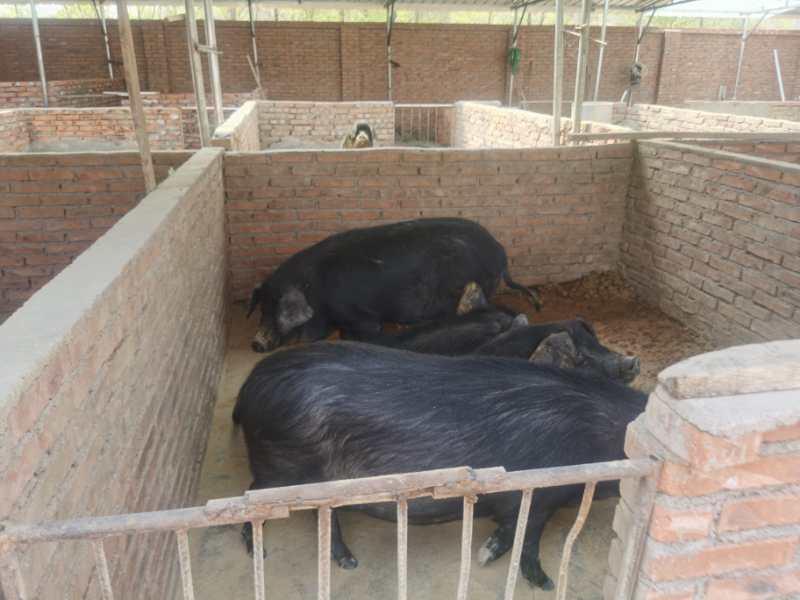 信息技术 第339页
