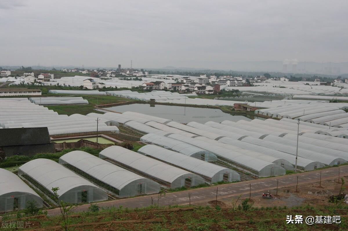 梧州最新中标事件详述及中标结果公布