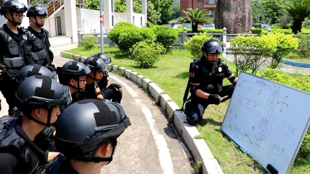 陈奕最新动态，音乐之路的多维探索与个人立场阐述
