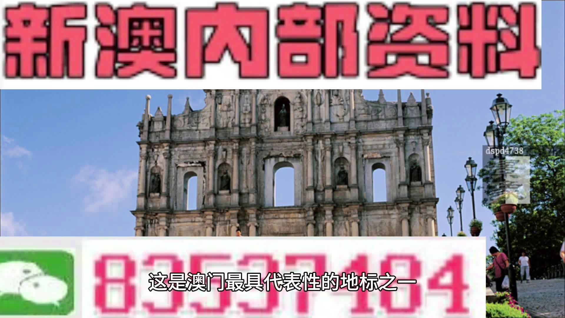 2024新澳门原料免费462,实地观察解释定义_启动版11.682