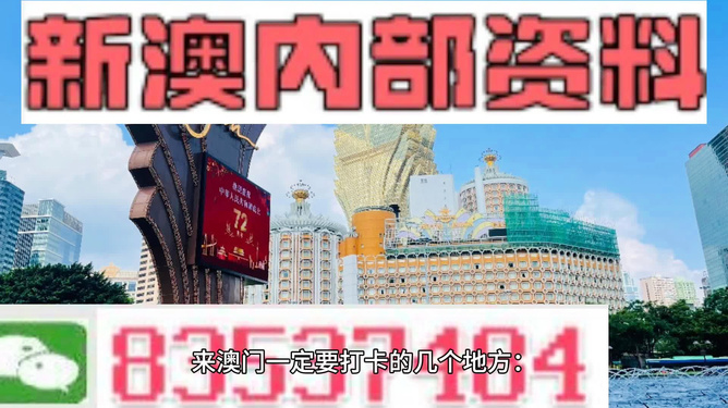 新澳内部资料精准一码免费,实践调查说明_闪电版75.480