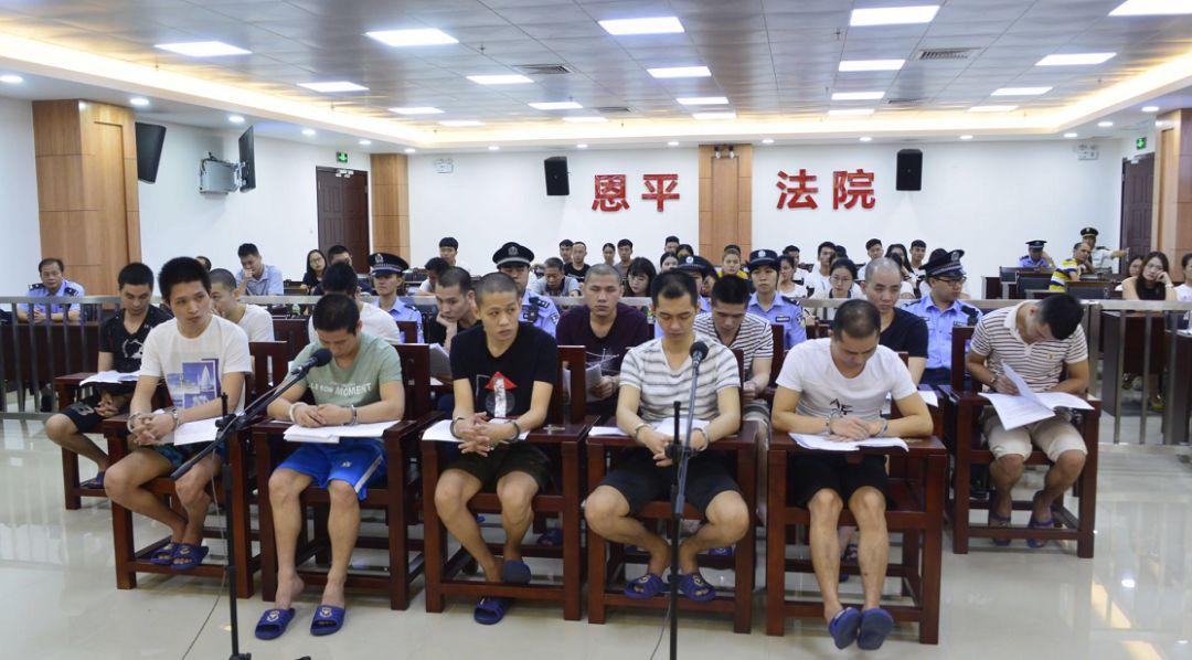 江门最新新闻，日常趣事报道