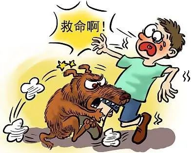 疫情最新伟人，科技产品介绍与抗疫贡献概览