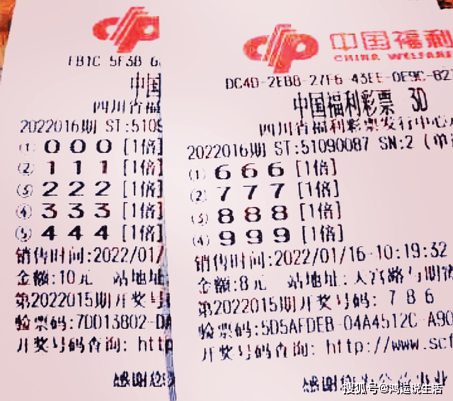 澳门天天开彩期期精准,释意性描述解_跨界版35.693