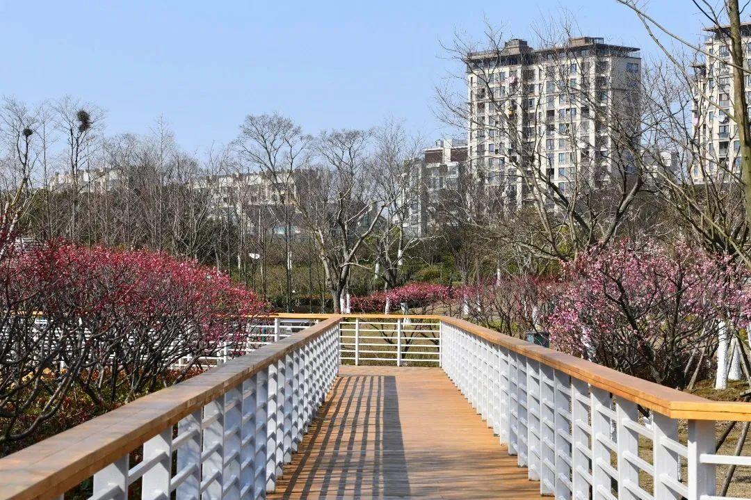 最新泥城吧背景、重要事件与地位的深度解析