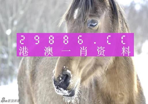 最准一肖一码100%,全面信息解释定义_美学版86.365