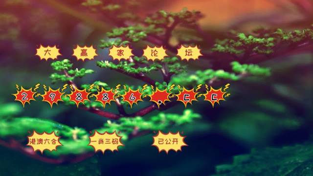 软件开发 第281页
