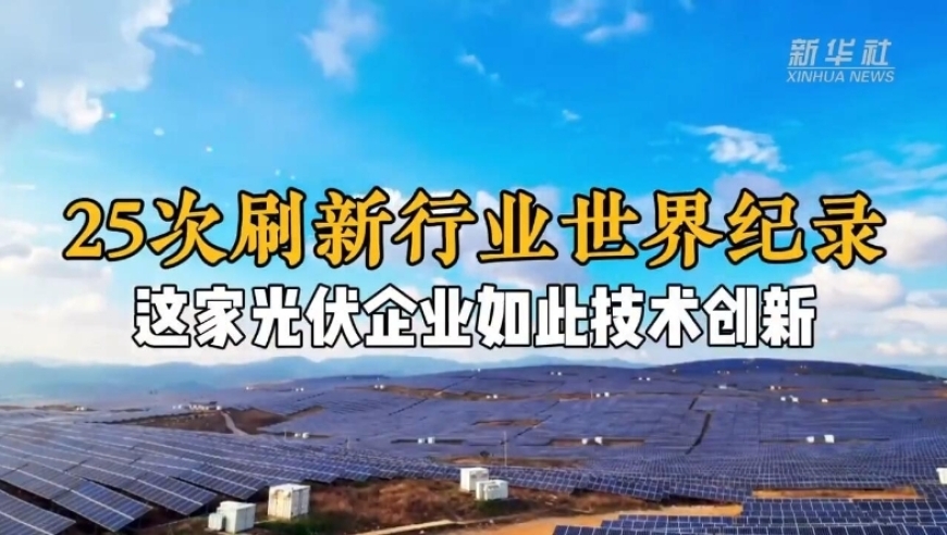 软件开发 第231页