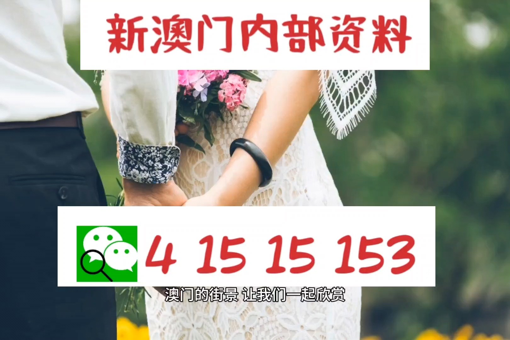 图书 第225页