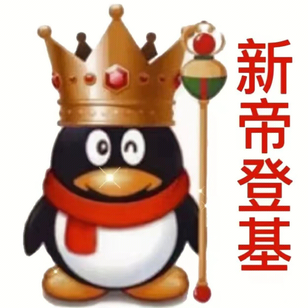 信息技术 第215页