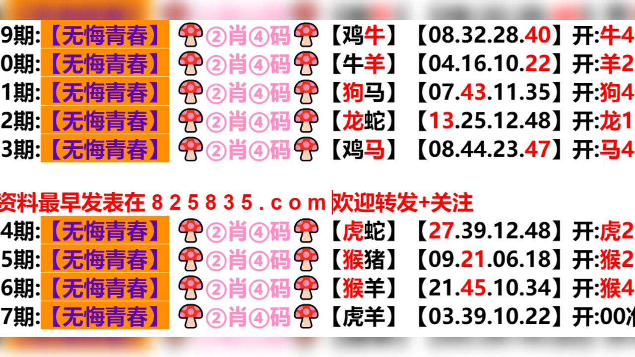 777788888新奥门开奖,实用性解读策略_精密版18.818