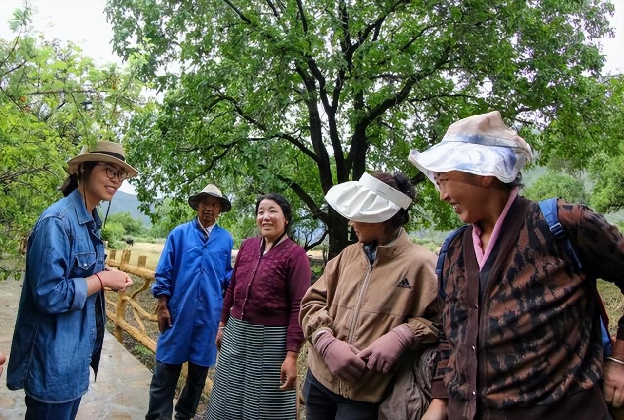 加查团队最新指南，详细步骤完成任务的全面教程