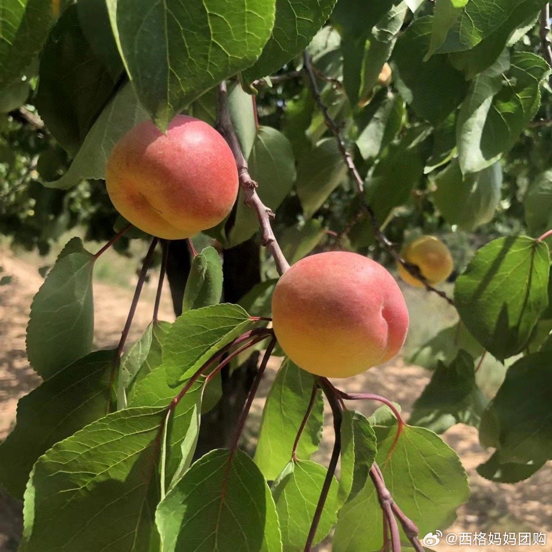 基础电信业务 第121页
