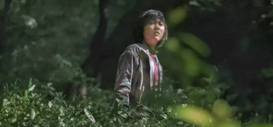 玉子电影，视觉与情感的完美交融盛宴