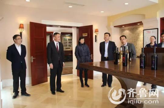 丹露新视频，高科技产品重塑生活体验，新功能前所未有