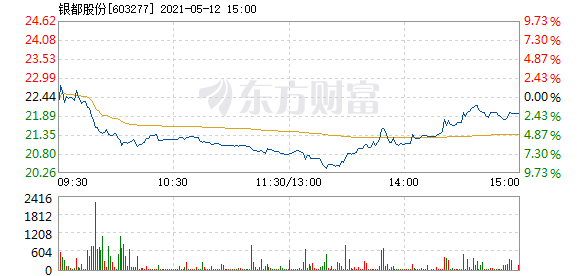 银都股份上市之路，温馨日常故事中的里程碑