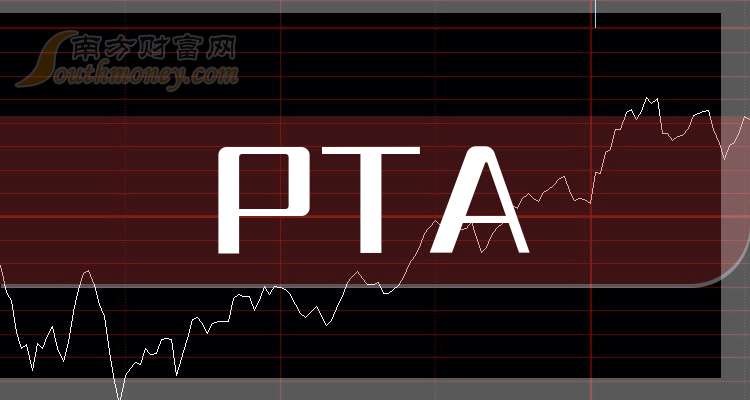 石化领域的璀璨明珠，PTA股票解析