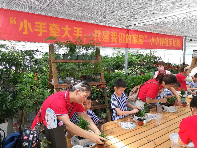 绿意盎然的小故事，种植比赛的美好瞬间