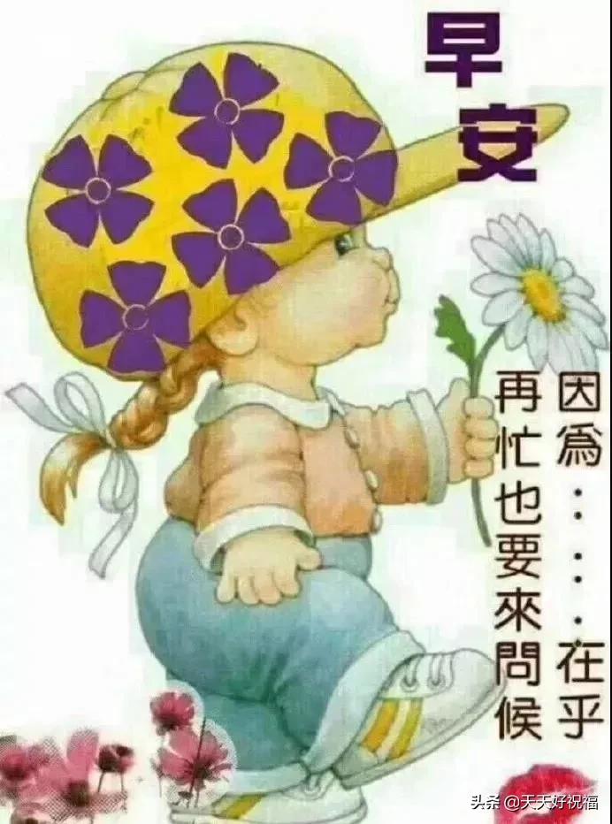 早晨最新问候美图