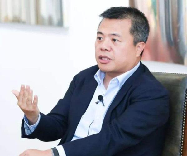 盛大股票投资视角的深度探讨与分析