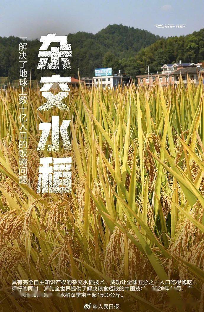 青草最新内容，科技前沿的高科技产品介绍
