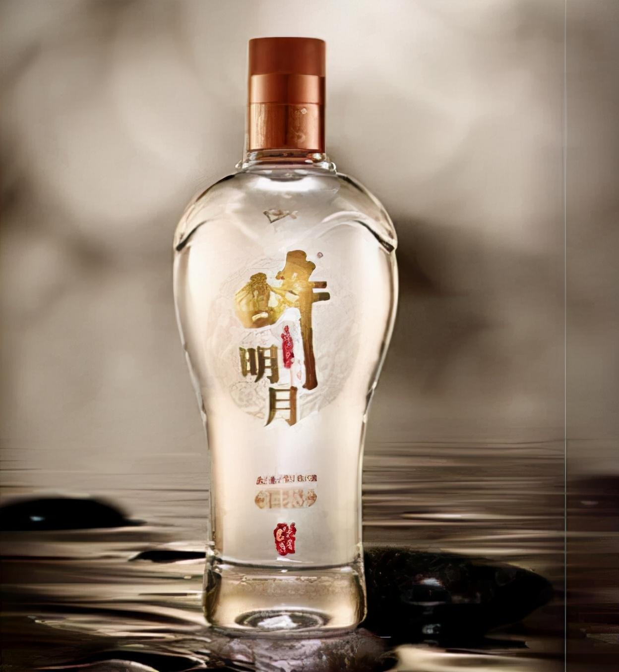 云南人才网最新招聘信息概览