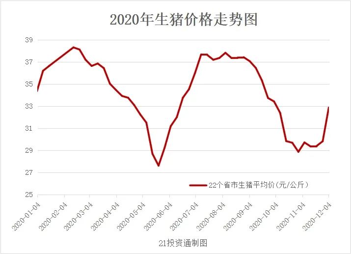 今日生猪价格走势预测分析