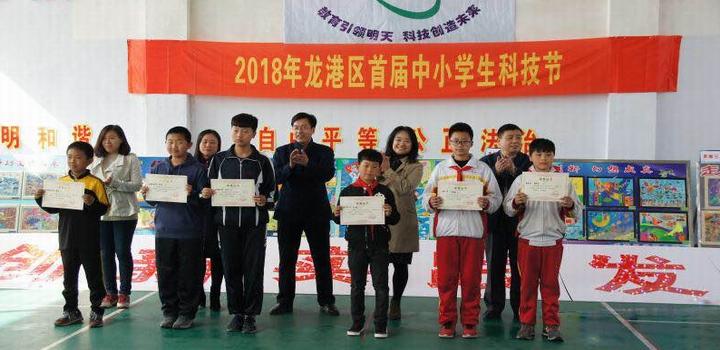 葫芦岛鸡蛋现价背后的故事与地位探究