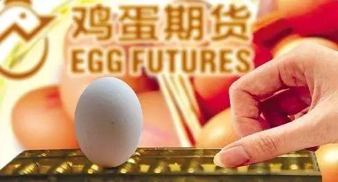 鸡蛋期货最新行情及小巷深处的蛋香探秘