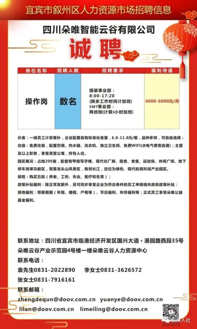 开阳在线最新招聘信息深度解析，价值与影响探究