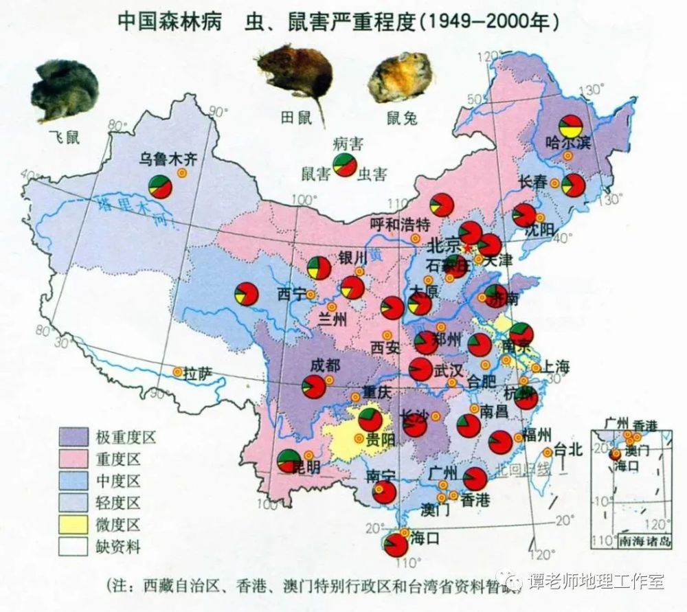 科技重塑生态监控，最新虫害分布图揭示生态新篇章