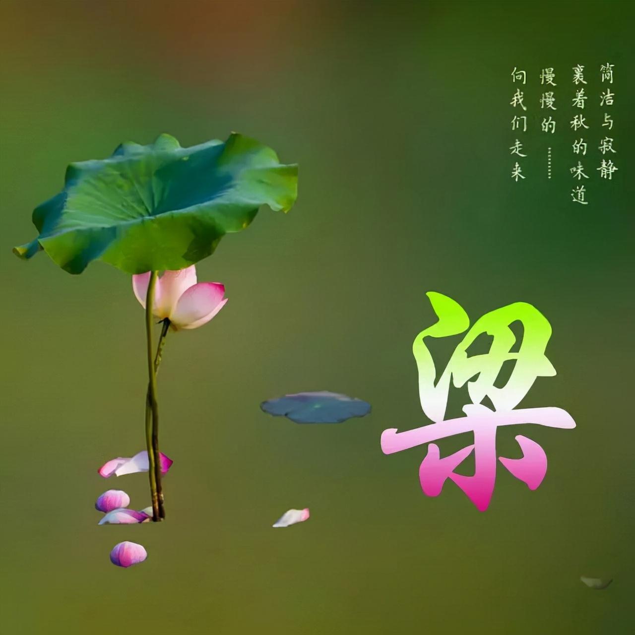 精选2018年热门微信昵称推荐