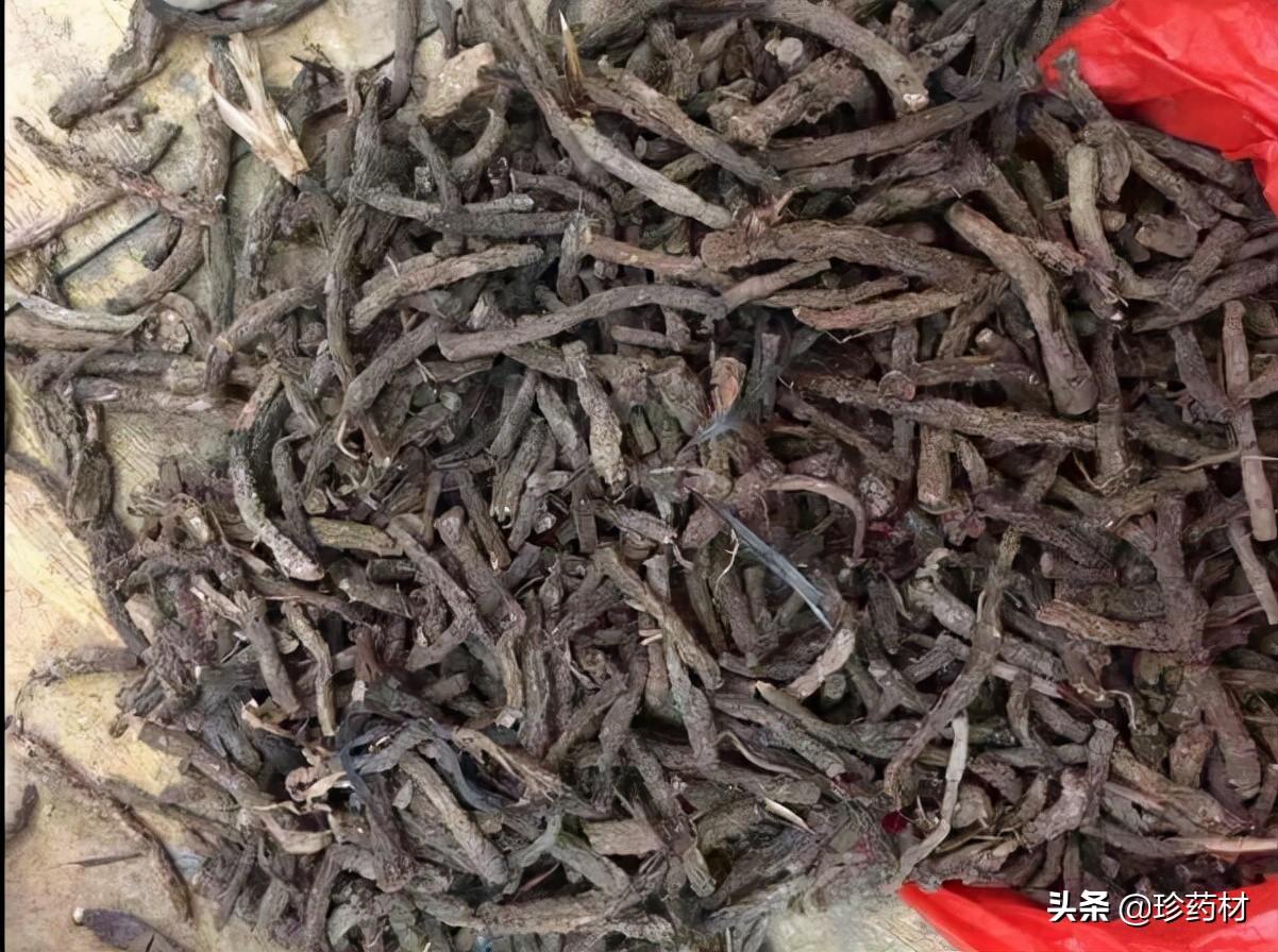 槐米行情走势分析，最新动态与趋势展望