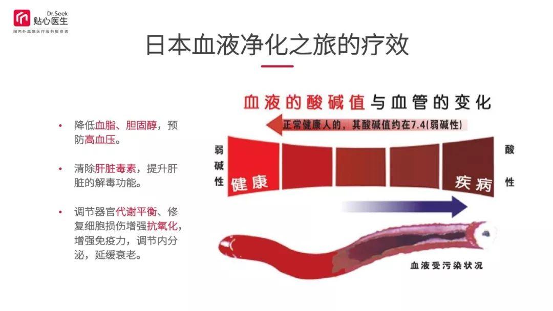 血管净化前沿技术与小巷中的隐秘宝藏探索