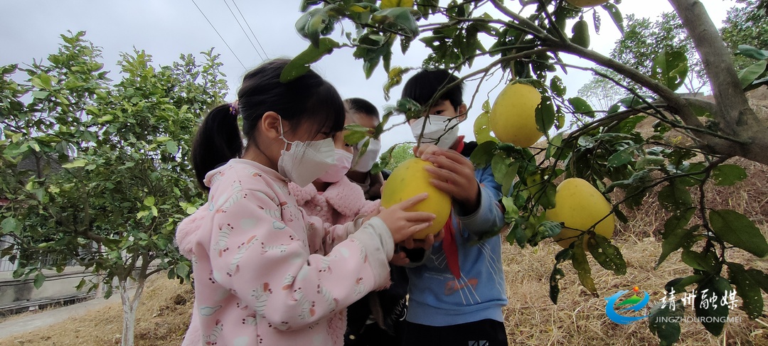 桃瘾社区手机版更新，小巷美食店新探秘
