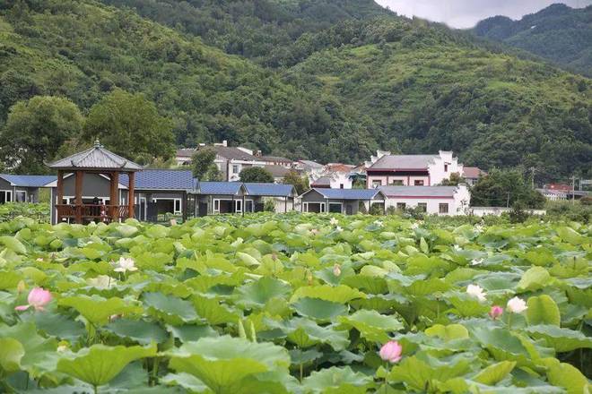 石泉池河镇最新动态揭秘，科技引领未来，前沿高科技产品体验之旅