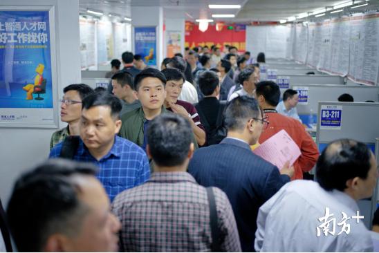 东莞智通人才最新职位招聘，奇妙招聘之旅启程