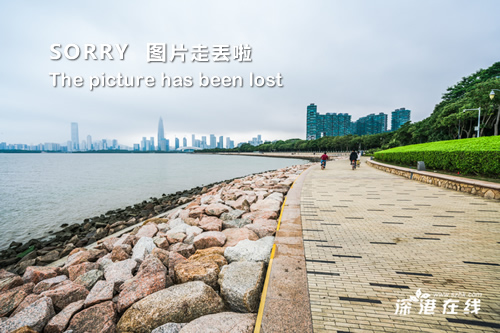 东莞交通事故，爱与陪伴的力量闪耀瞬间