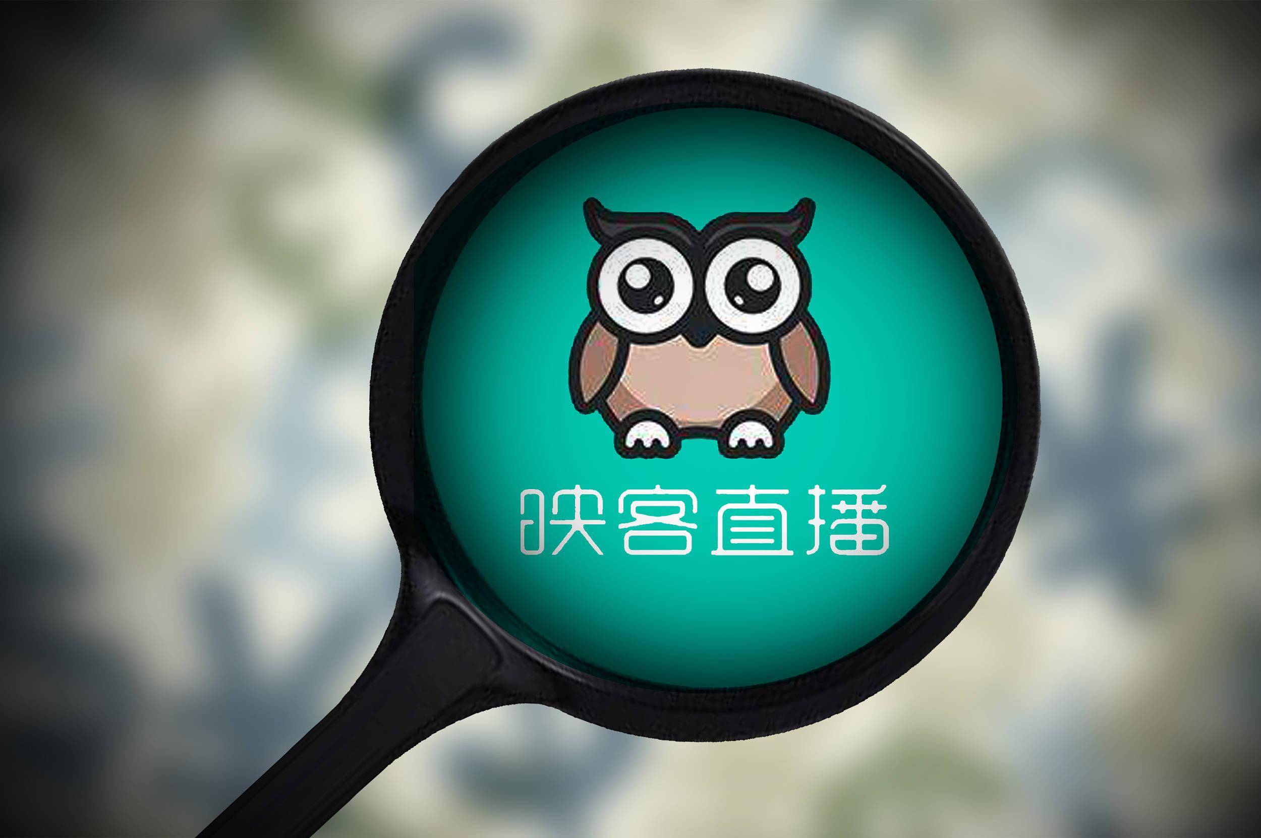 映客最新动态及观点阐述揭秘