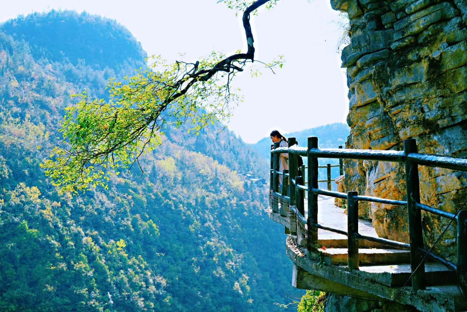 武汉旅游指南全新版，探索城市魅力，成就自信梦想之旅
